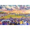 Headingley Carnagie Stadium Fine Art Print - Leeds Rhinos Rugby League